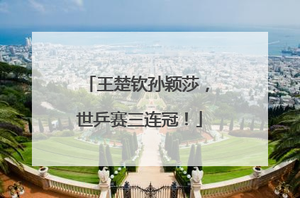 王楚钦孙颖莎，世乒赛三连冠！