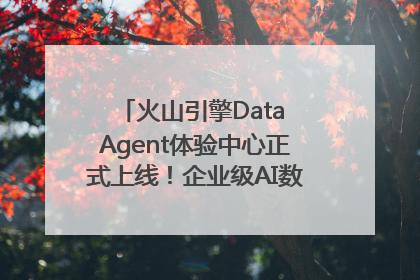 火山引擎Data Agent体验中心正式上线！企业级AI数据专家触手可及