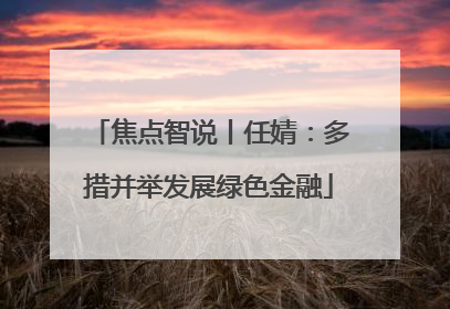 焦点智说丨任婧：多措并举发展绿色金融