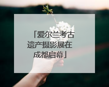 爱尔兰考古遗产摄影展在成都启幕