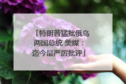 特朗普猛批俄乌两国总统 美媒：迄今最严厉批评