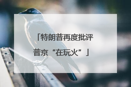特朗普再度批评普京“在玩火”