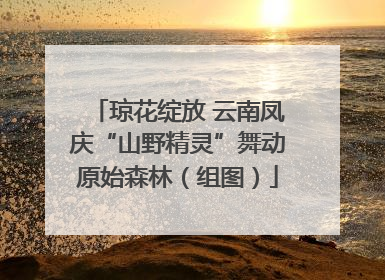 琼花绽放 云南凤庆“山野精灵”舞动原始森林（组图）