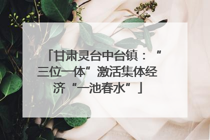甘肃灵台中台镇：“三位一体”激活集体经济“一池春水”