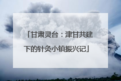 甘肃灵台：津甘共建下的针灸小镇振兴记