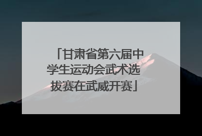 甘肃省第六届中学生运动会武术选拔赛在武威开赛