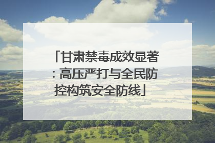 甘肃禁毒成效显著：高压严打与全民防控构筑安全防线