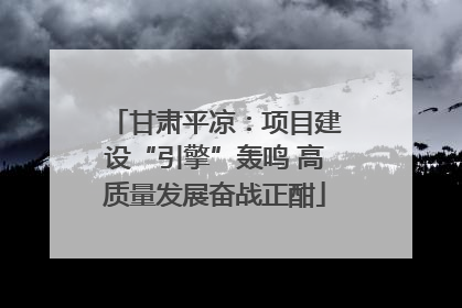 甘肃平凉：项目建设“引擎”轰鸣 高质量发展奋战正酣