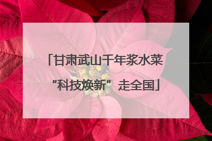 甘肃武山千年浆水菜“科技焕新”走全国
