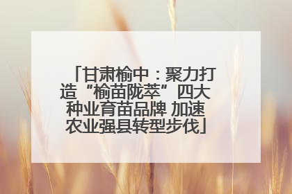 甘肃榆中：聚力打造“榆苗陇萃”四大种业育苗品牌 加速农业强县转型步伐
