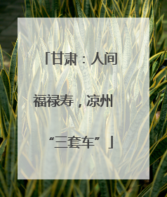 甘肃：人间福禄寿，凉州“三套车”