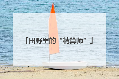 田野里的“精算师”