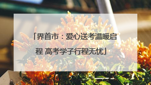 界首市：爱心送考温暖启程 高考学子行程无忧