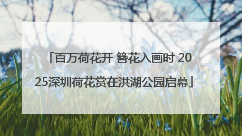 百万荷花开 簪花入画时 2025深圳荷花赏在洪湖公园启幕