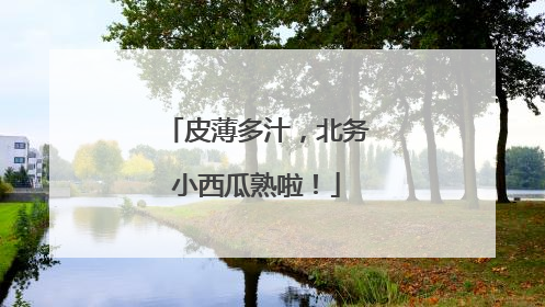 皮薄多汁，北务小西瓜熟啦！