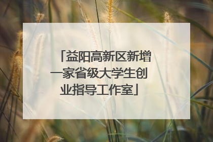 益阳高新区新增一家省级大学生创业指导工作室