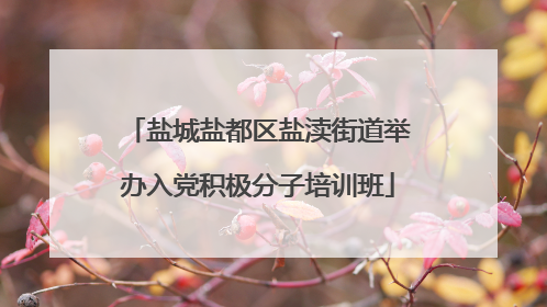 盐城盐都区盐渎街道举办入党积极分子培训班