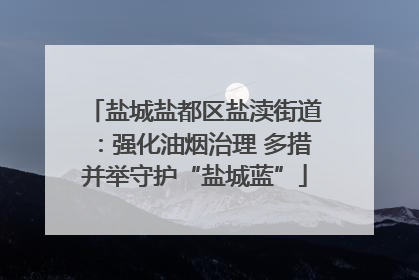 盐城盐都区盐渎街道：强化油烟治理 多措并举守护“盐城蓝”