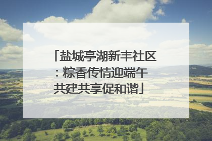 盐城亭湖新丰社区：粽香传情迎端午 共建共享促和谐