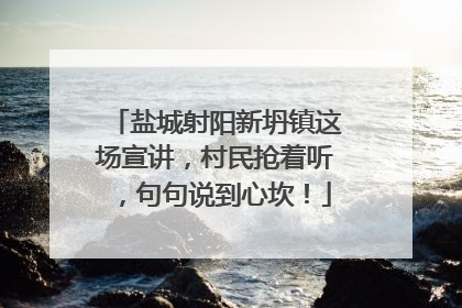 盐城射阳新坍镇这场宣讲，村民抢着听，句句说到心坎！