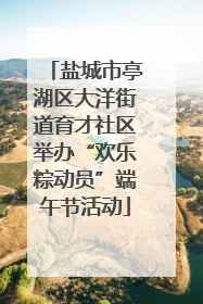 盐城市亭湖区大洋街道育才社区举办“欢乐粽动员”端午节活动