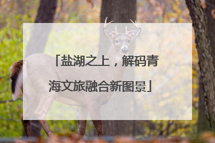 盐湖之上，解码青海文旅融合新图景