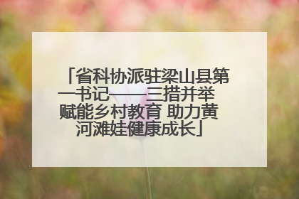 省科协派驻梁山县第一书记——三措并举 赋能乡村教育 助力黄河滩娃健康成长