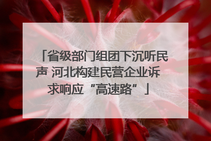省级部门组团下沉听民声 河北构建民营企业诉求响应“高速路”