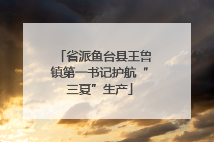 省派鱼台县王鲁镇第一书记护航“三夏”生产