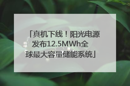 真机下线！阳光电源发布12.5MWh全球最大容量储能系统