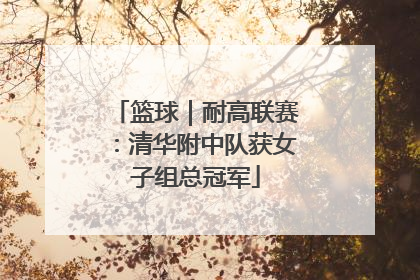 篮球｜耐高联赛：清华附中队获女子组总冠军