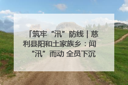 筑牢“汛”防线｜慈利县阳和土家族乡：闻“汛”而动 全员下沉筑牢防汛“安全堤”