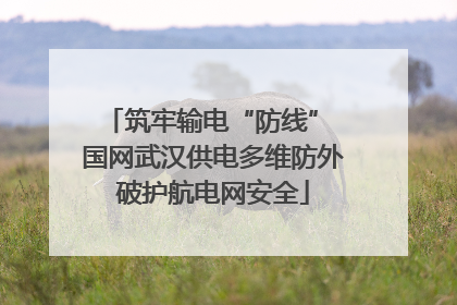 筑牢输电“防线” 国网武汉供电多维防外破护航电网安全