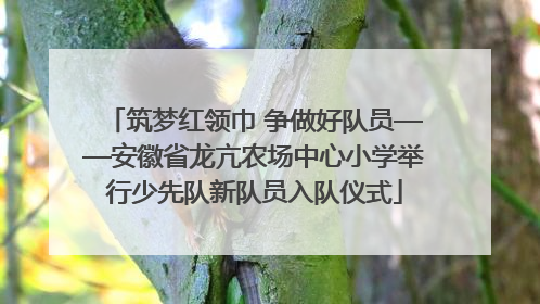 筑梦红领巾 争做好队员——安徽省龙亢农场中心小学举行少先队新队员入队仪式