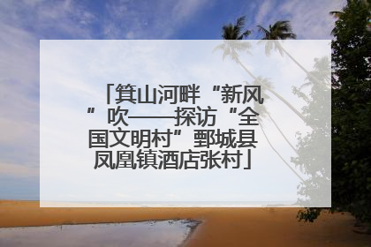 箕山河畔“新风”吹——探访“全国文明村”鄄城县凤凰镇酒店张村