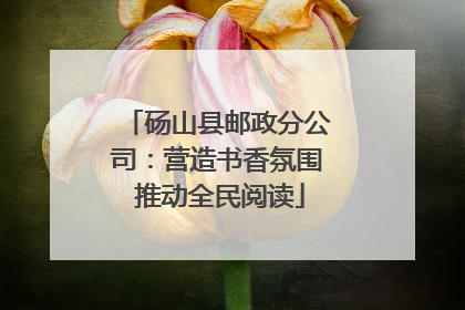 砀山县邮政分公司：营造书香氛围 推动全民阅读