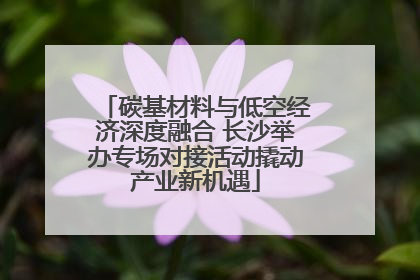 碳基材料与低空经济深度融合 长沙举办专场对接活动撬动产业新机遇