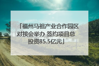 福州马祖产业合作园区对接会举办 签约项目总投资85.5亿元