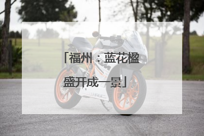福州：蓝花楹盛开成一景