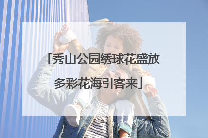 秀山公园绣球花盛放 多彩花海引客来