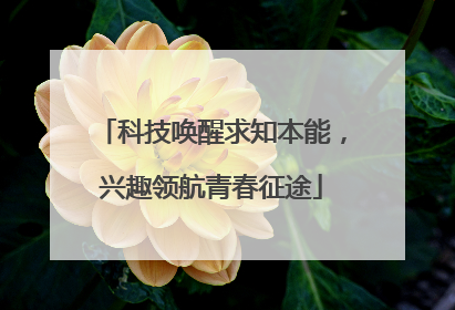 科技唤醒求知本能，兴趣领航青春征途