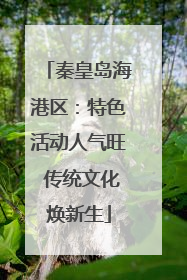 秦皇岛海港区：特色活动人气旺 传统文化焕新生
