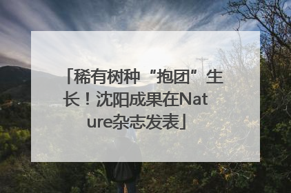 稀有树种“抱团”生长！沈阳成果在Nature杂志发表
