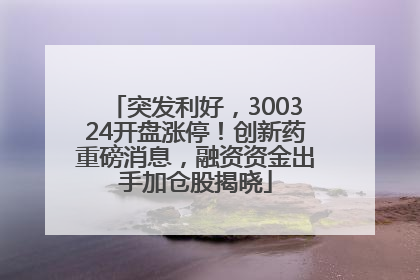 突发利好，300324开盘涨停！创新药重磅消息，融资资金出手加仓股揭晓