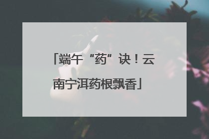 端午“药”诀！云南宁洱药根飘香
