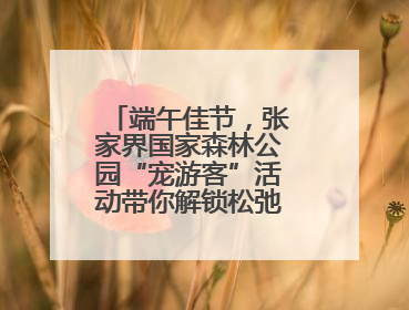 端午佳节，张家界国家森林公园“宠游客”活动带你解锁松弛感假期！