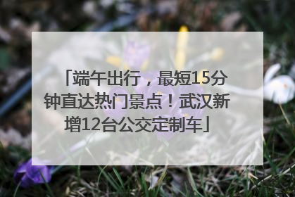 端午出行，最短15分钟直达热门景点！武汉新增12台公交定制车
