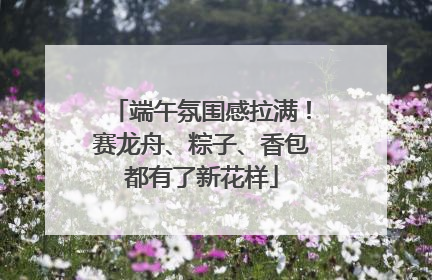 端午氛围感拉满！赛龙舟、粽子、香包都有了新花样