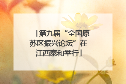 第九届“全国原苏区振兴论坛”在江西泰和举行