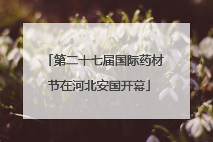 第二十七届国际药材节在河北安国开幕